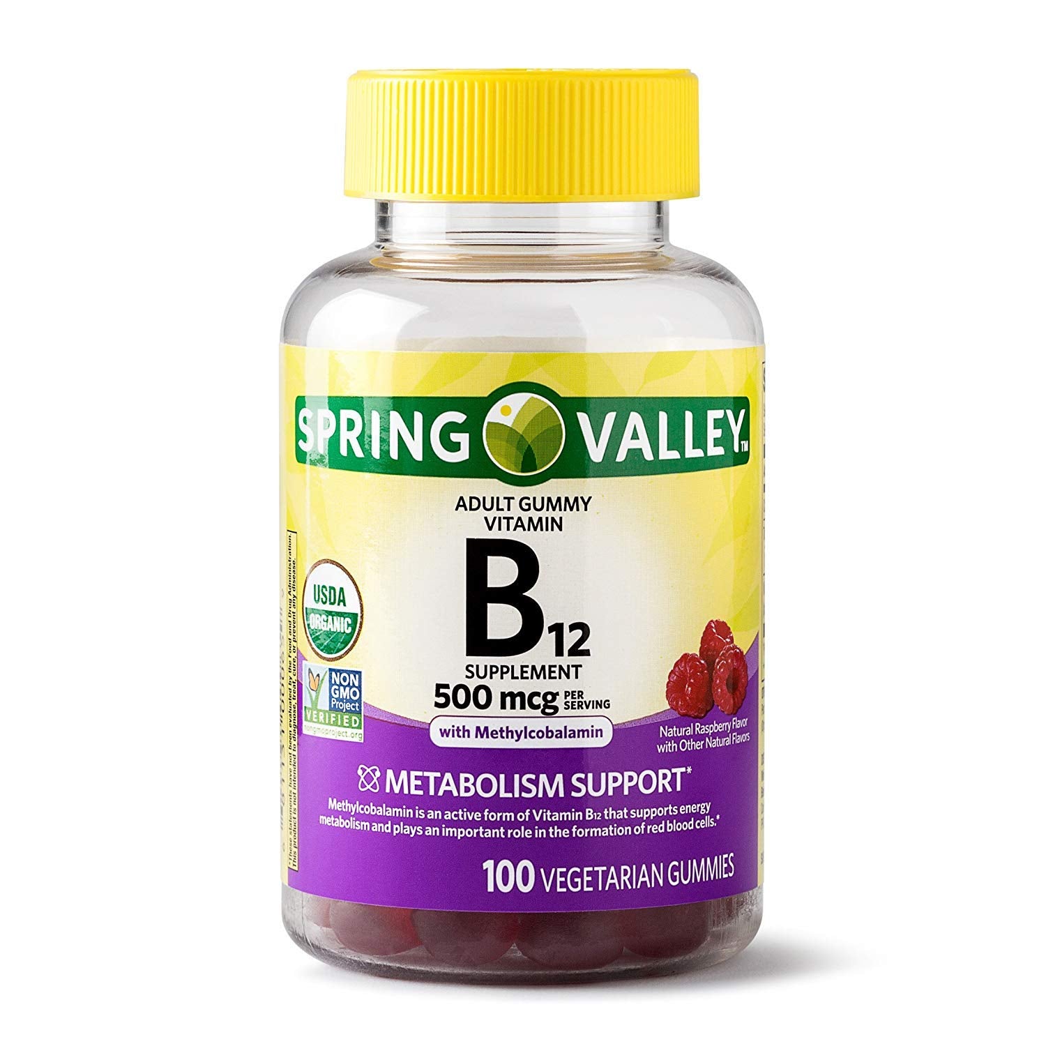 Spring Valley Adult Gummy Vitamin B12, 500mcg with Methylcobalamin, 100 Vegetarian Gummies, Natural Raspberry Flavor (7592982446318)